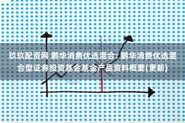 玖玖配资网 鹏华消费优选混合: 鹏华消费优选混合型证券投资基金基金产品资料概要(更新)