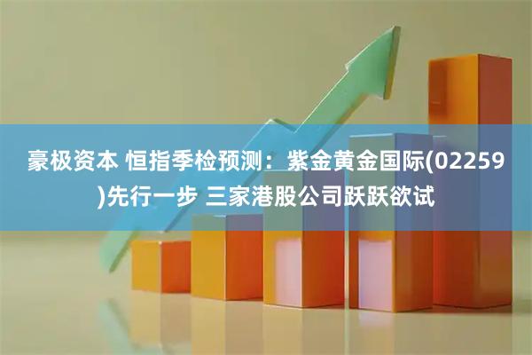 豪极资本 恒指季检预测：紫金黄金国际(02259)先行一步 三家港股公司跃跃欲试